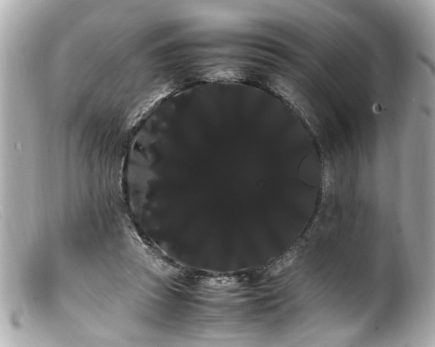 X0000100220353200805301351