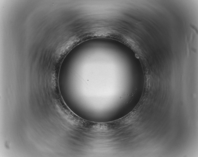 X0000100220354200805301351