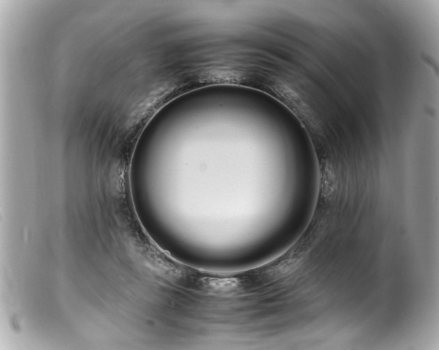 X0000100220355200805301351