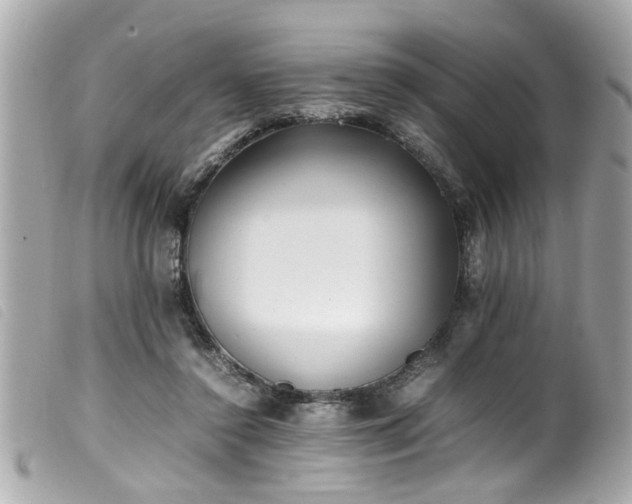 X0000100220356200805301351