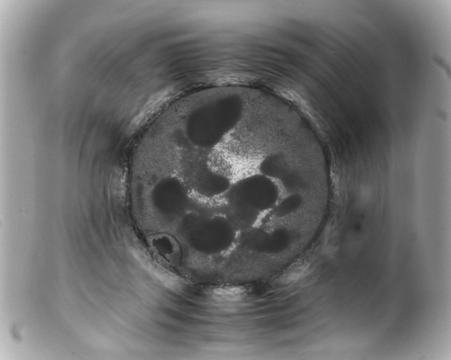 X0000100220357200805301351