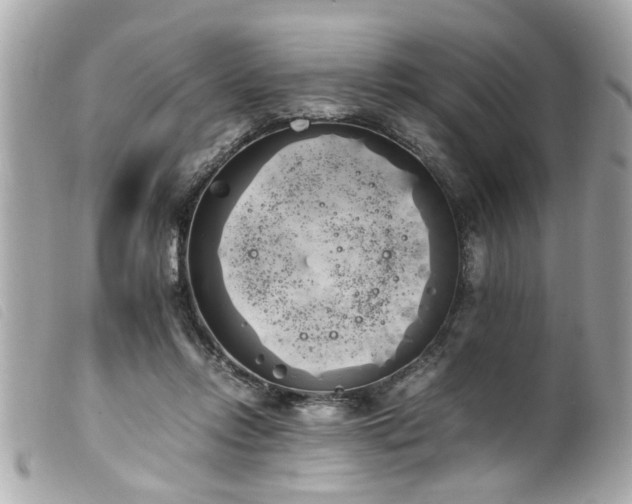 X0000100220358200805301351