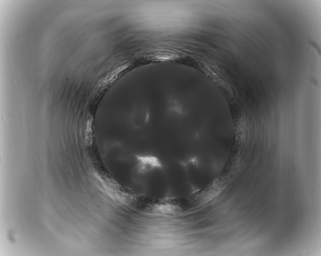 X0000100220360200805301351