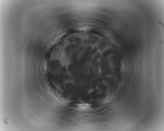 X0000100220363200805301351