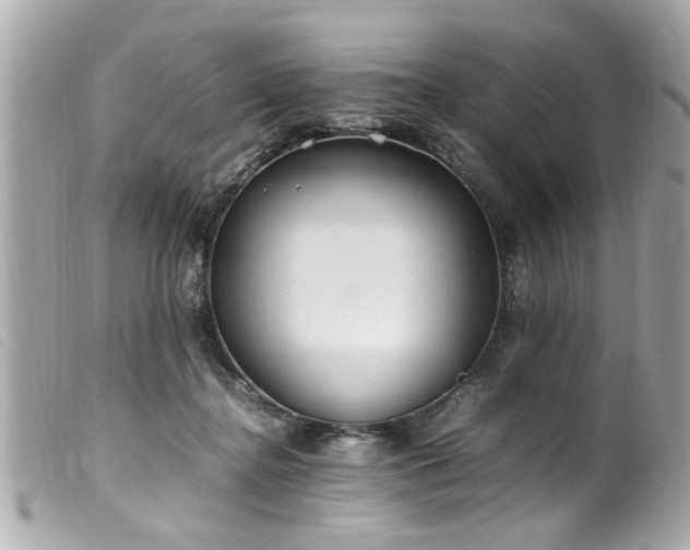 X0000100220364200805301351