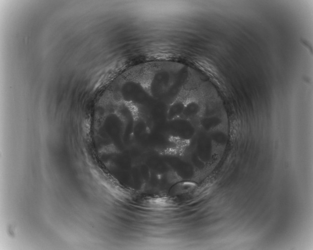 X0000100220365200805301351