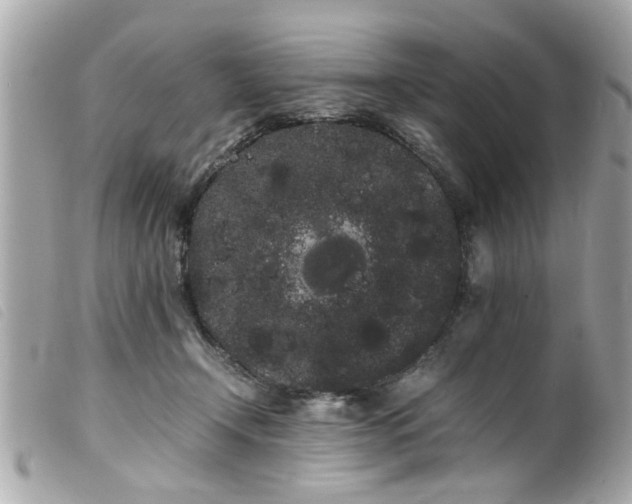 X0000100220366200805301351