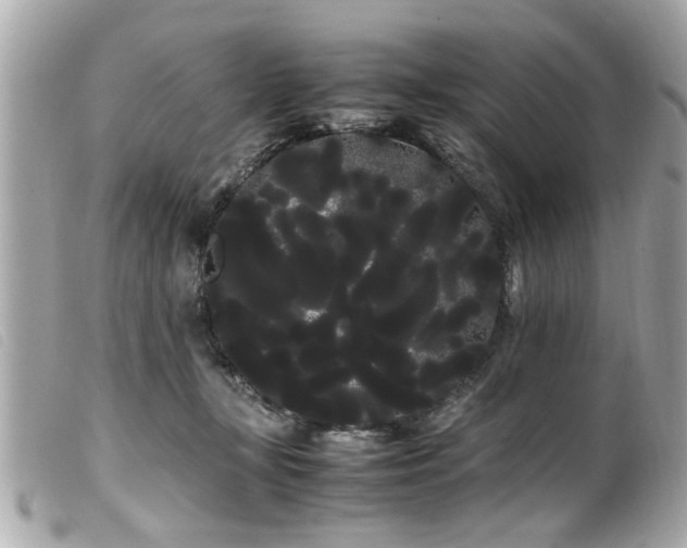 X0000100220367200805301351