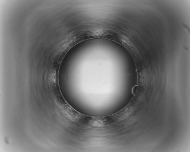 X0000100220368200805301351