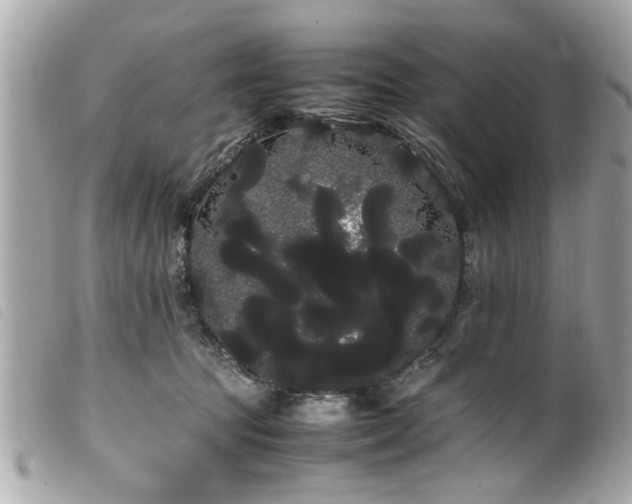 X0000100220369200805301351