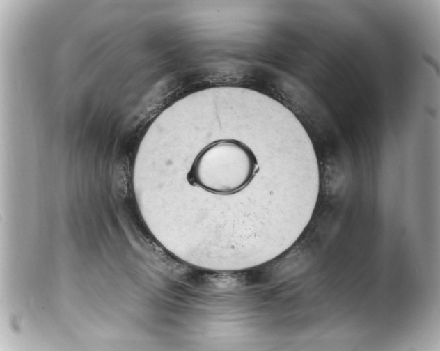 X0000100220370200805301352