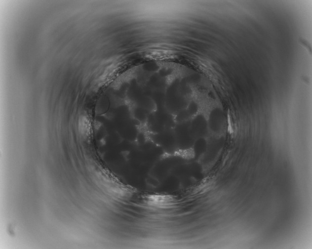 X0000100220371200805301352