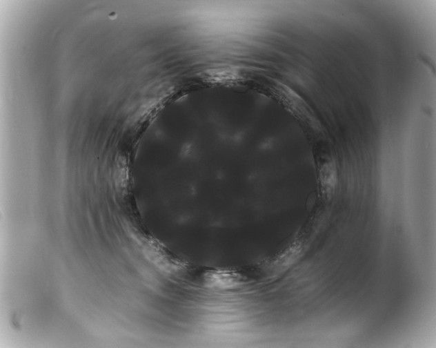 X0000100220372200805301352