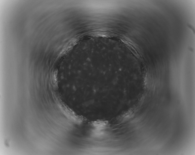 X0000100220373200805301352