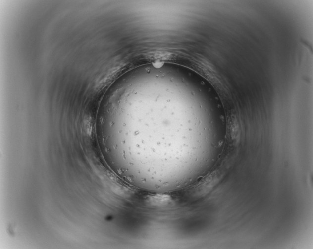 X0000100220374200805301352