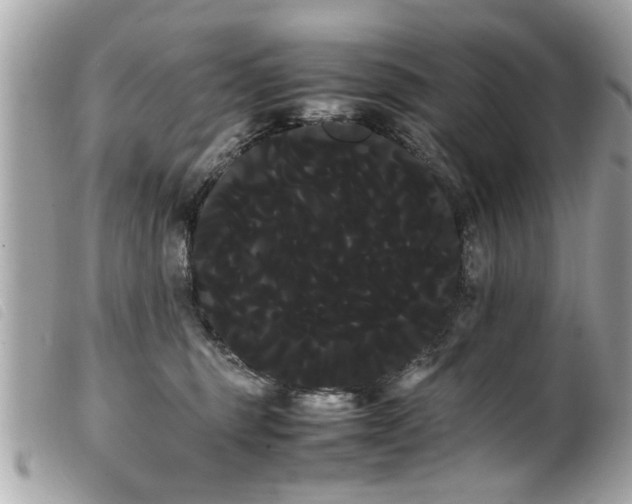 X0000100220375200805301352