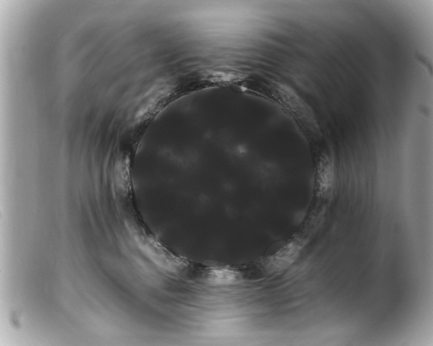 X0000100220376200805301352