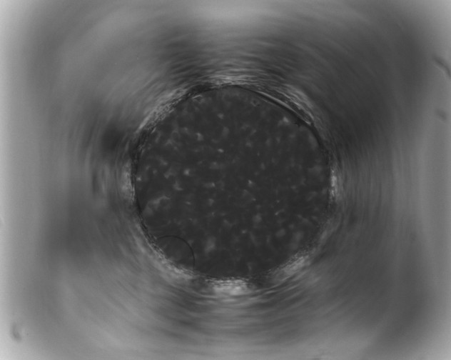 X0000100220377200805301352