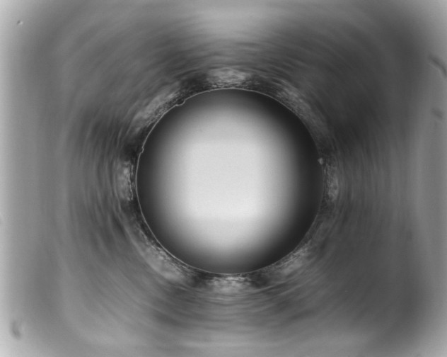 X0000100220378200805301352