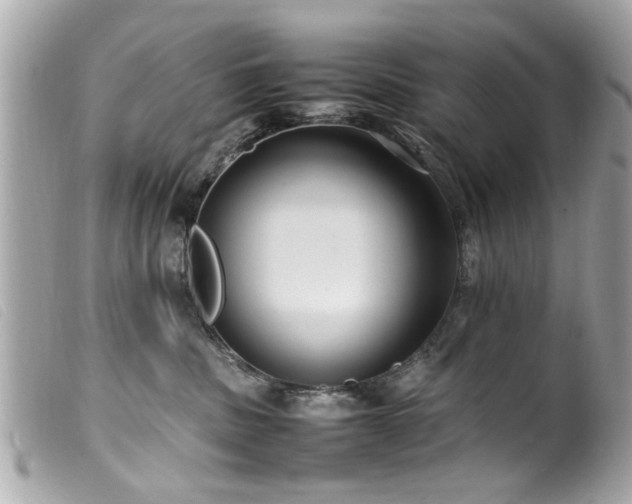 X0000100220379200805301352