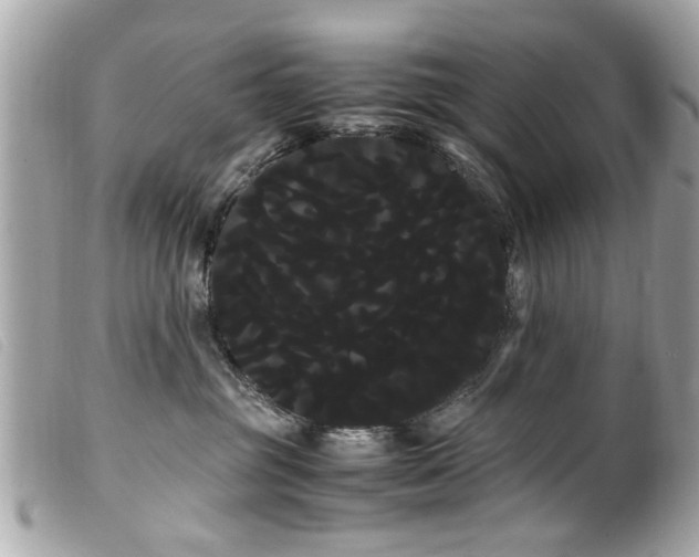 X0000100220381200805301352