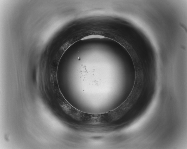 X0000100220382200805301352