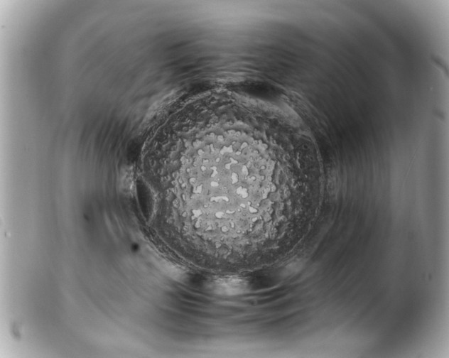 X0000100220383200805301352