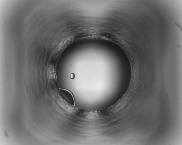 X0000100220384200805301352