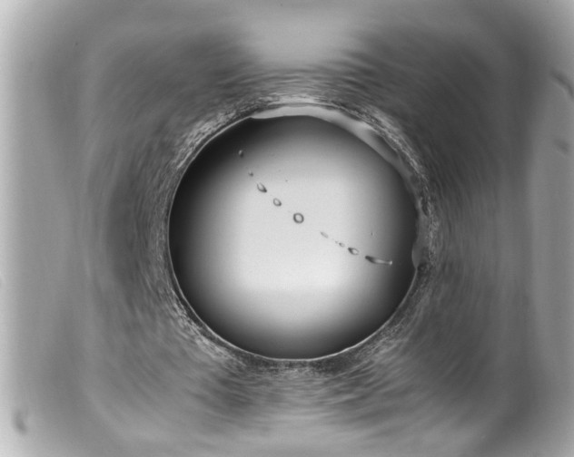 X0000100220385200805301351