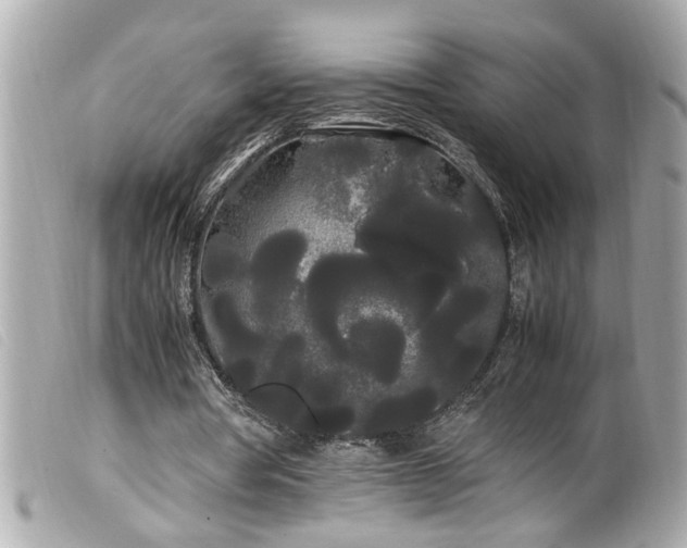 X0000100220386200805301351