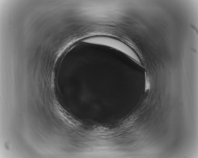 X0000100220387200805301351