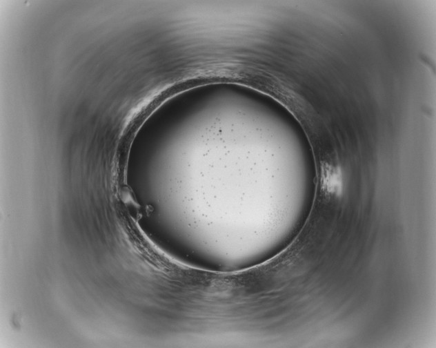 X0000100220388200805301351