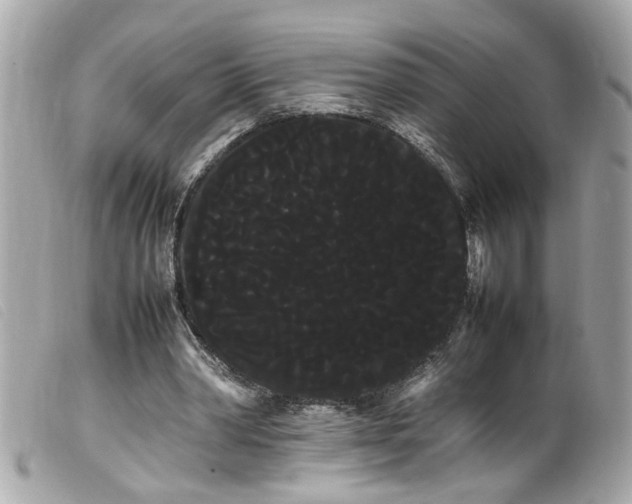 X0000100220390200805301351