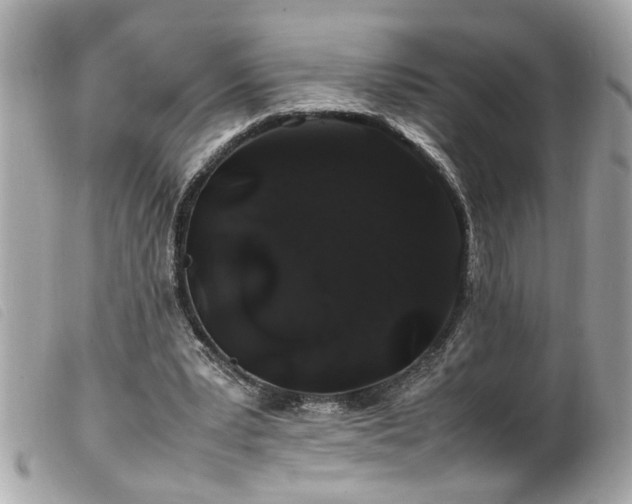 X0000100220391200805301351