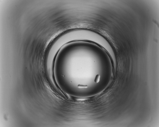 X0000100220392200805301351