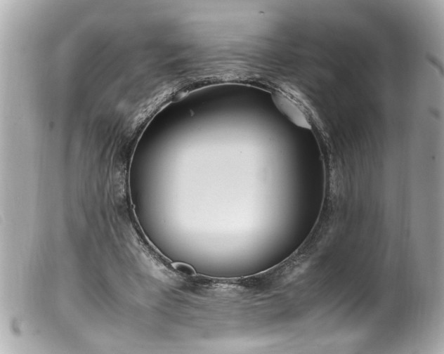 X0000100220393200805301351