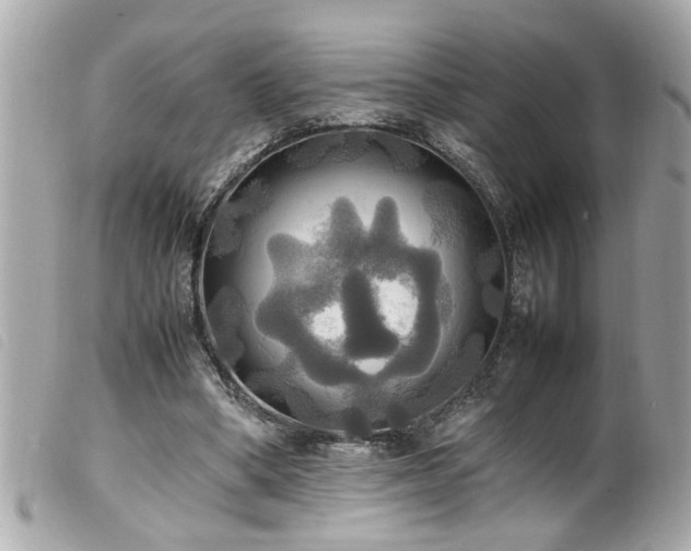 X0000100220394200805301351