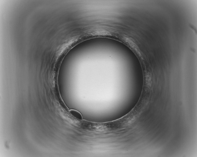 X0000100220395200805301351