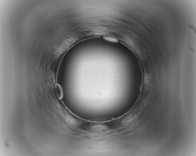 X0000100220397200805301351