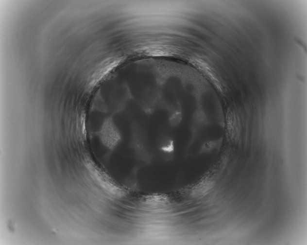 X0000100220398200805301351