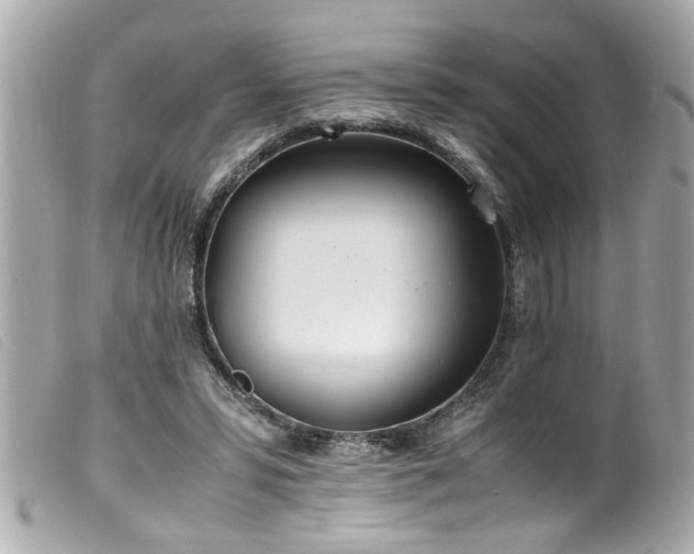 X0000100220399200805301351