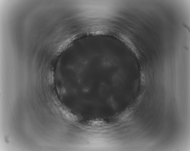 X0000100220401200805301351