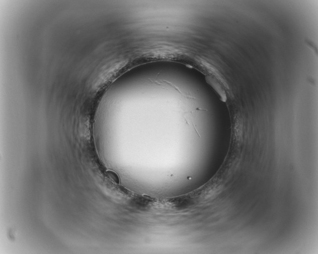 X0000100220403200805301351