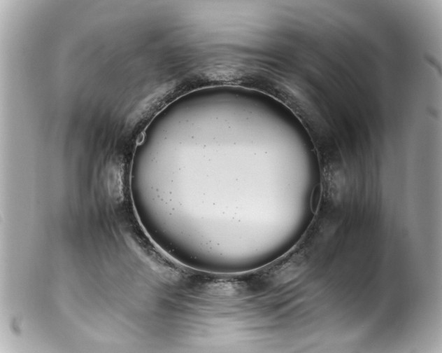 X0000100220404200805301351