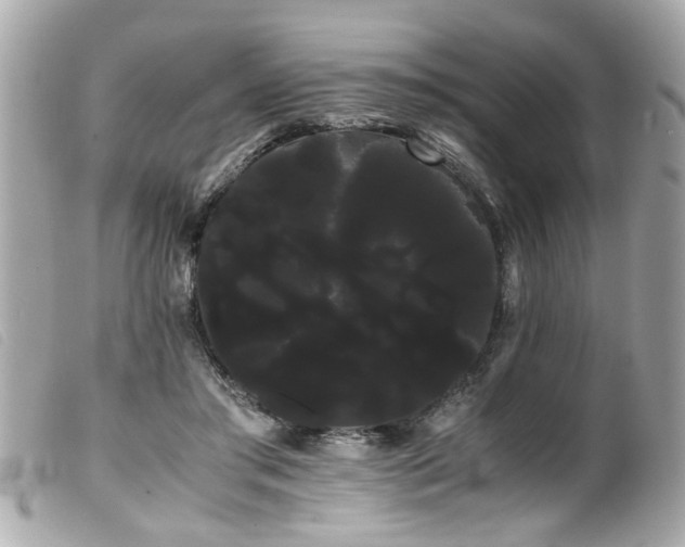 X0000100220405200805301351