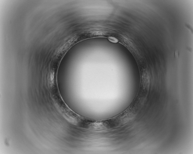 X0000100220406200805301351