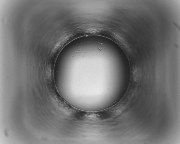 X0000100220407200805301351