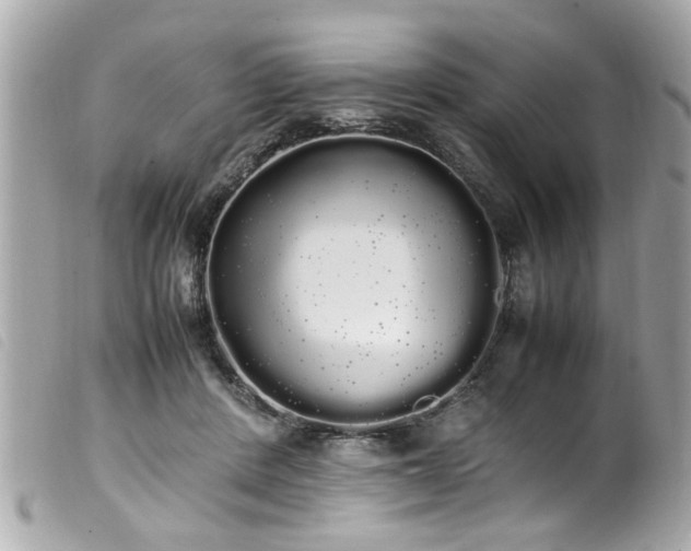 X0000100220408200805301351