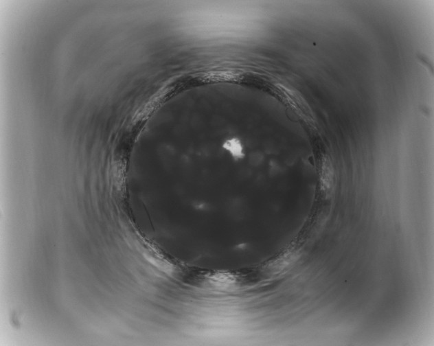 X0000100220409200805301351