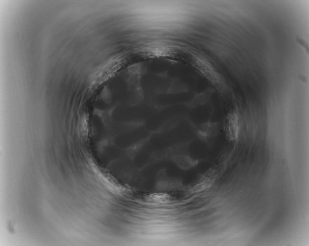 X0000100220410200805301351